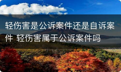 轻伤害是公诉案件还是自诉案件 轻伤害属于公诉案件吗