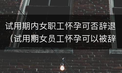 试用期内女职工怀孕可否辞退（试用期女员工怀孕可以被辞退吗）