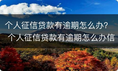 个人征信贷款有逾期怎么办？ 个人征信贷款有逾期怎么办信用卡