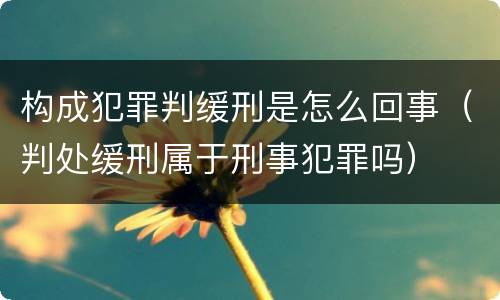 构成犯罪判缓刑是怎么回事（判处缓刑属于刑事犯罪吗）