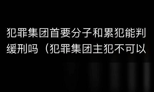 犯罪集团首要分子和累犯能判缓刑吗（犯罪集团主犯不可以适用缓刑吗）