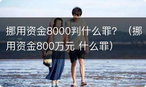 挪用资金8000判什么罪？（挪用资金800万元 什么罪）