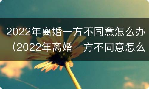 2022年离婚一方不同意怎么办（2022年离婚一方不同意怎么办呢）