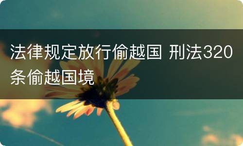 法律规定放行偷越国 刑法320条偷越国境