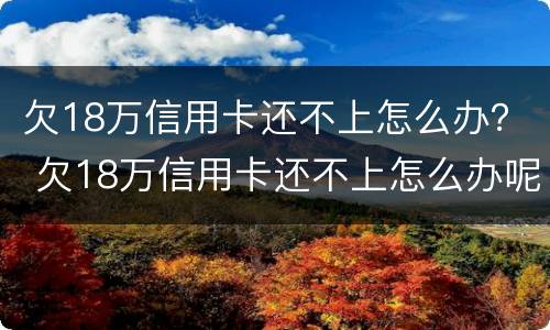 欠18万信用卡还不上怎么办？ 欠18万信用卡还不上怎么办呢