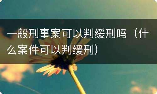 一般刑事案可以判缓刑吗（什么案件可以判缓刑）