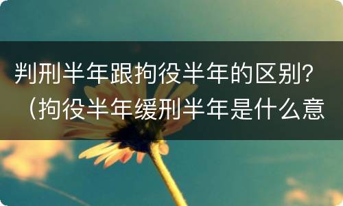 判刑半年跟拘役半年的区别？（拘役半年缓刑半年是什么意思）