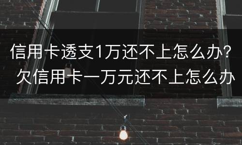 信用卡透支1万还不上怎么办？ 欠信用卡一万元还不上怎么办