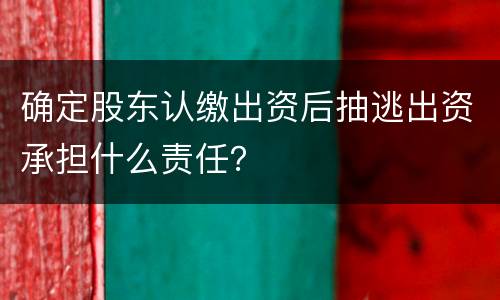 确定股东认缴出资后抽逃出资承担什么责任？