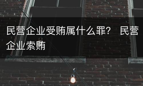 民营企业受贿属什么罪？ 民营企业索贿