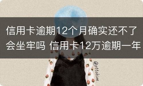 信用卡逾期12个月确实还不了会坐牢吗 信用卡12万逾期一年了,会不会坐牢