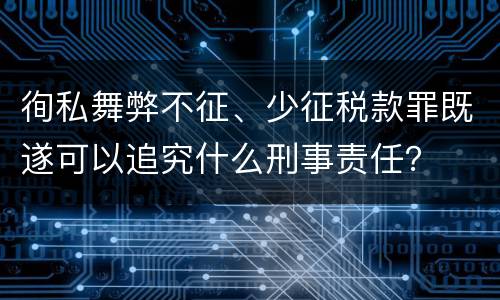 徇私舞弊不征、少征税款罪既遂可以追究什么刑事责任？