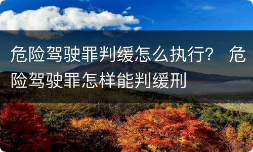 危险驾驶罪判缓怎么执行？ 危险驾驶罪怎样能判缓刑