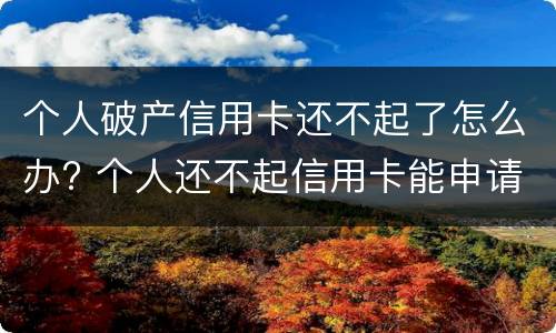 个人破产信用卡还不起了怎么办? 个人还不起信用卡能申请个人破产吗