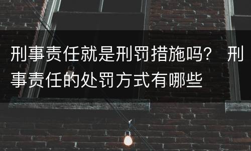 刑事责任就是刑罚措施吗？ 刑事责任的处罚方式有哪些