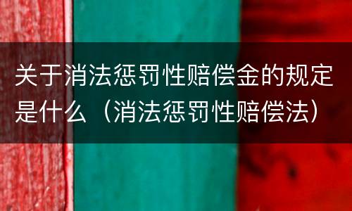 关于消法惩罚性赔偿金的规定是什么（消法惩罚性赔偿法）