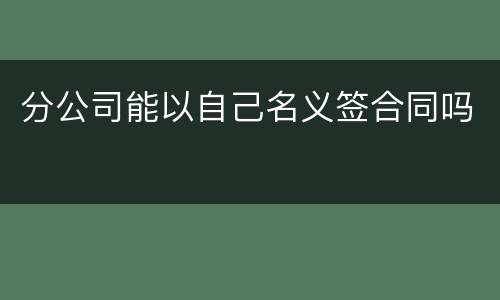 分公司能以自己名义签合同吗