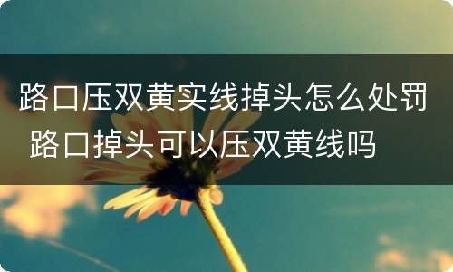 路口压双黄实线掉头怎么处罚 路口掉头可以压双黄线吗