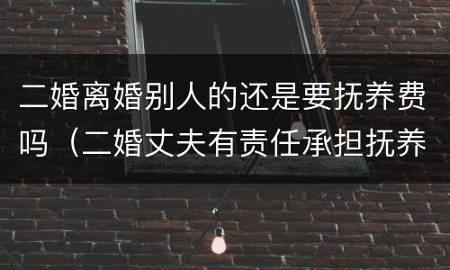 二婚离婚别人的还是要抚养费吗（二婚丈夫有责任承担抚养费吗）