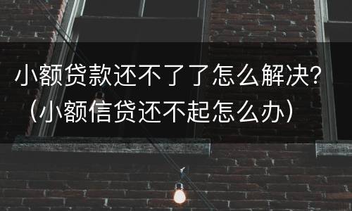 小额贷款还不了了怎么解决？（小额信贷还不起怎么办）