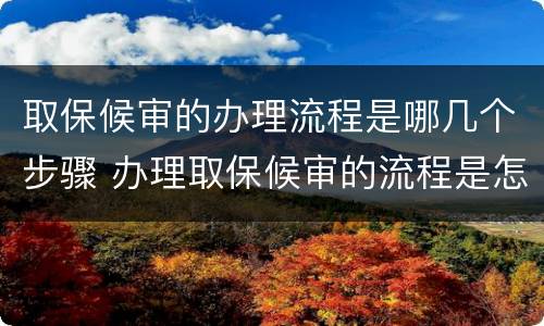 取保候审的办理流程是哪几个步骤 办理取保候审的流程是怎样的
