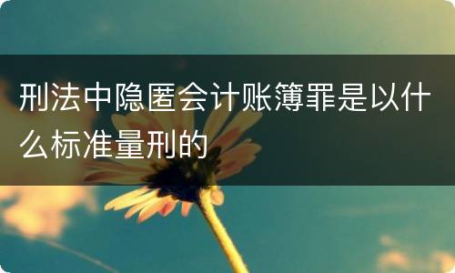 刑法中隐匿会计账簿罪是以什么标准量刑的