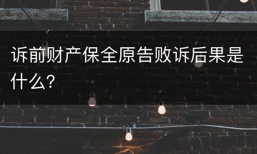 诉前财产保全原告败诉后果是什么？
