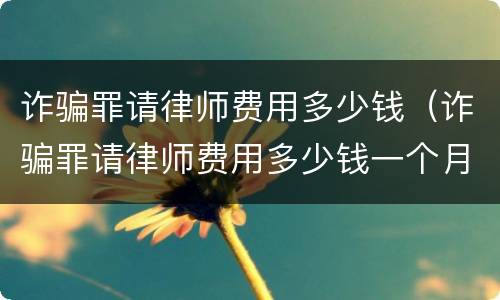 诈骗罪请律师费用多少钱（诈骗罪请律师费用多少钱一个月）