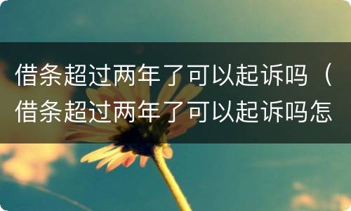 借条超过两年了可以起诉吗（借条超过两年了可以起诉吗怎么写）