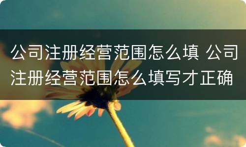 公司注册经营范围怎么填 公司注册经营范围怎么填写才正确