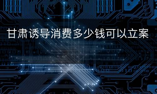 甘肃诱导消费多少钱可以立案