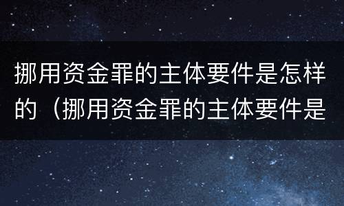 挪用资金罪的主体要件是怎样的（挪用资金罪的主体要件是怎样的情形）
