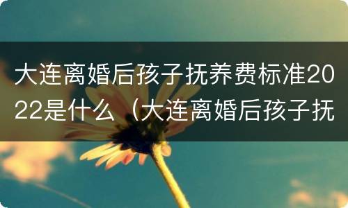 大连离婚后孩子抚养费标准2022是什么（大连离婚后孩子抚养费标准2022是什么样的）