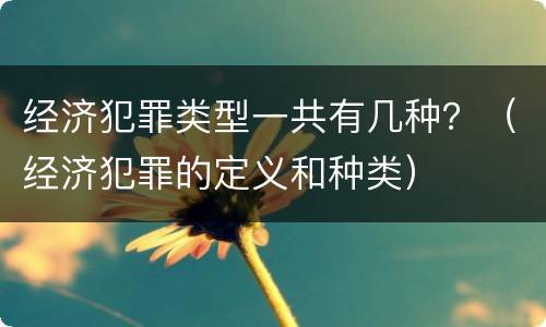 经济犯罪类型一共有几种？（经济犯罪的定义和种类）