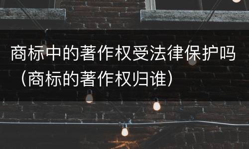 商标中的著作权受法律保护吗（商标的著作权归谁）