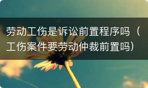 劳动工伤是诉讼前置程序吗（工伤案件要劳动仲裁前置吗）