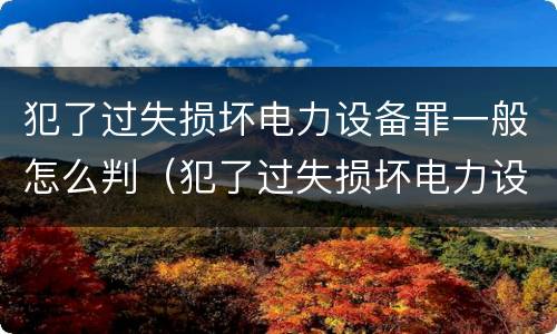 犯了过失损坏电力设备罪一般怎么判（犯了过失损坏电力设备罪一般怎么判）