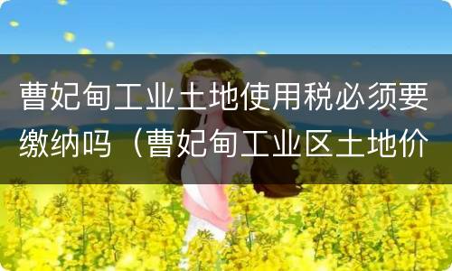 曹妃甸工业土地使用税必须要缴纳吗（曹妃甸工业区土地价格）