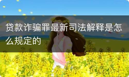 贷款诈骗罪最新司法解释是怎么规定的