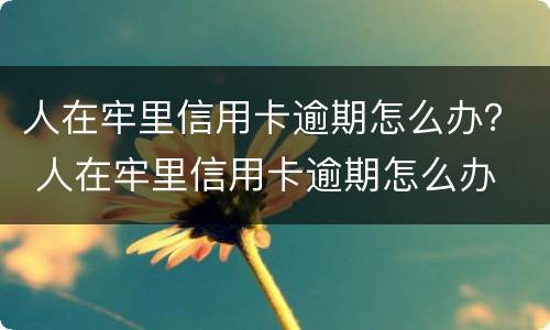 人在牢里信用卡逾期怎么办？ 人在牢里信用卡逾期怎么办