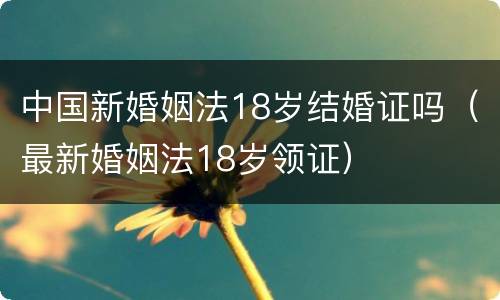 中国新婚姻法18岁结婚证吗（最新婚姻法18岁领证）