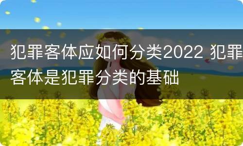 犯罪客体应如何分类2022 犯罪客体是犯罪分类的基础
