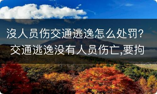 沒人员伤交通逃逸怎么处罚？ 交通逃逸没有人员伤亡,要拘留吗?