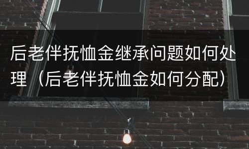 后老伴抚恤金继承问题如何处理（后老伴抚恤金如何分配）