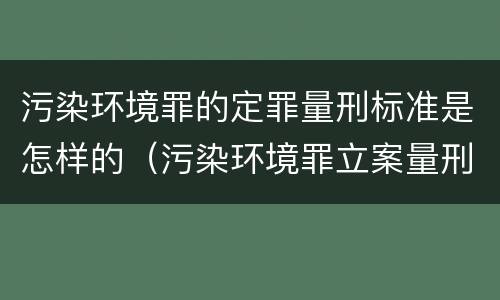 污染环境罪的定罪量刑标准是怎样的（污染环境罪立案量刑标准）