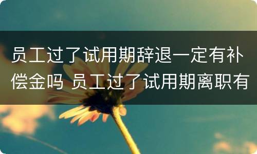 员工过了试用期辞退一定有补偿金吗 员工过了试用期离职有工资吗