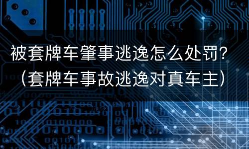 被套牌车肇事逃逸怎么处罚？（套牌车事故逃逸对真车主）