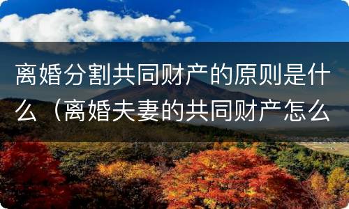 离婚分割共同财产的原则是什么（离婚夫妻的共同财产怎么分）