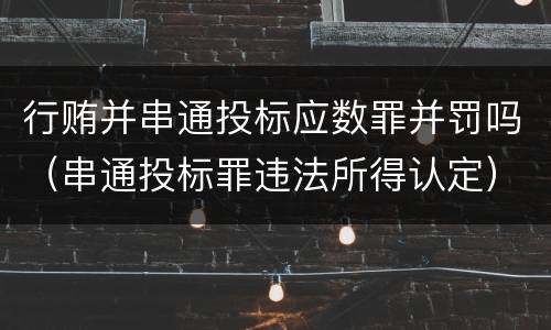 行贿并串通投标应数罪并罚吗（串通投标罪违法所得认定）