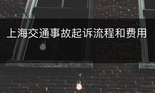 上海交通事故起诉流程和费用